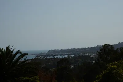 DSC_2469 (Large).JPG